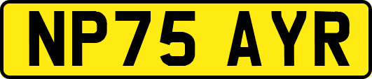 NP75AYR
