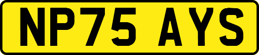NP75AYS