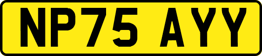 NP75AYY