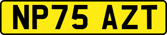 NP75AZT