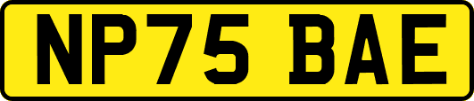 NP75BAE