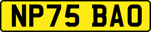 NP75BAO