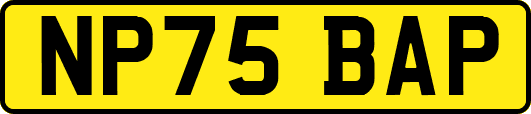 NP75BAP