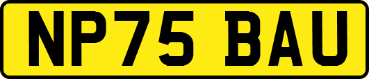 NP75BAU