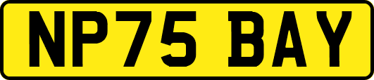 NP75BAY