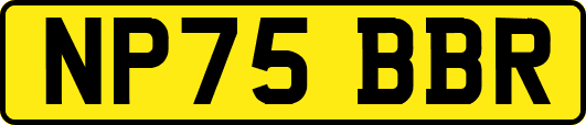 NP75BBR
