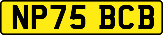 NP75BCB