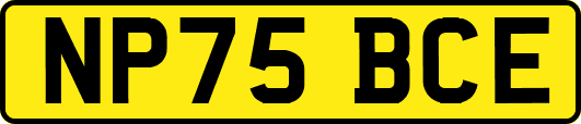 NP75BCE