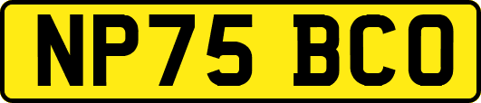 NP75BCO