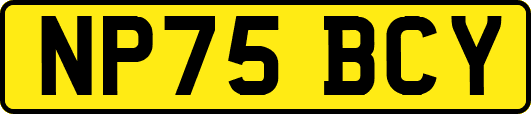 NP75BCY