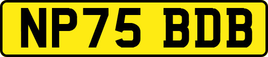 NP75BDB
