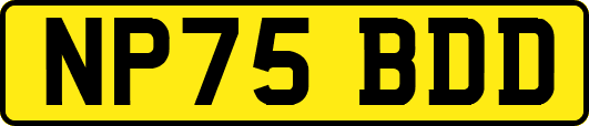NP75BDD