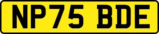 NP75BDE