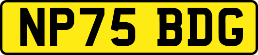 NP75BDG