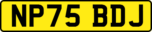 NP75BDJ