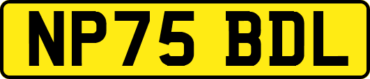 NP75BDL