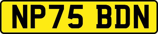 NP75BDN