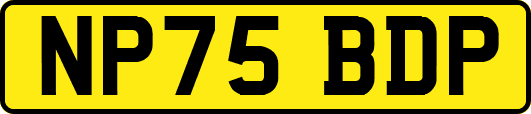 NP75BDP