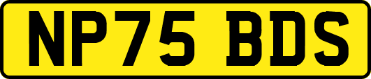 NP75BDS