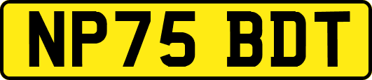 NP75BDT