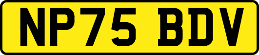 NP75BDV