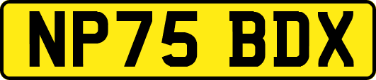 NP75BDX