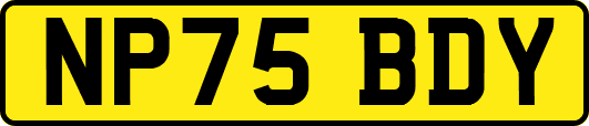 NP75BDY