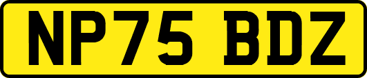 NP75BDZ