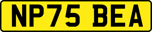 NP75BEA