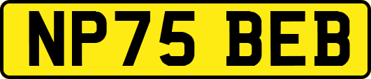 NP75BEB