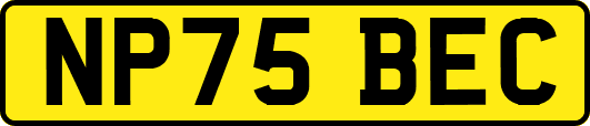 NP75BEC