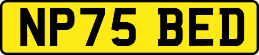 NP75BED