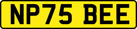 NP75BEE