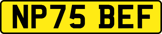 NP75BEF