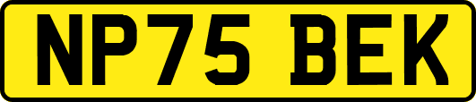 NP75BEK