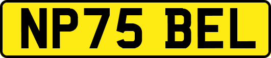 NP75BEL