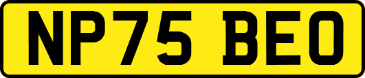NP75BEO