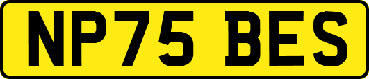NP75BES