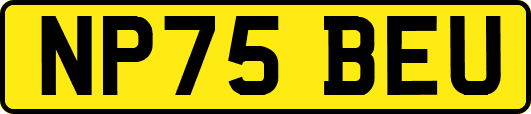 NP75BEU