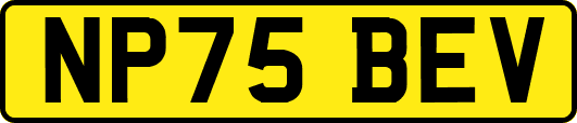 NP75BEV