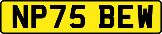 NP75BEW