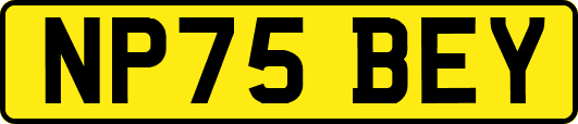 NP75BEY