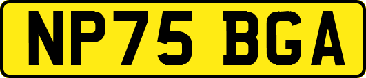 NP75BGA