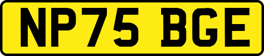 NP75BGE