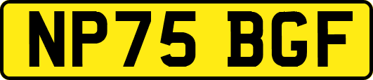 NP75BGF
