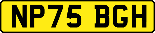NP75BGH