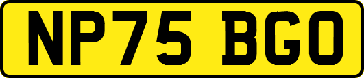 NP75BGO