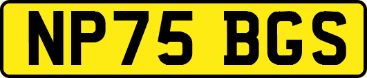 NP75BGS