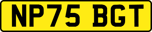 NP75BGT
