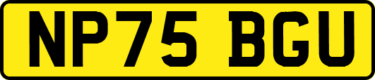 NP75BGU